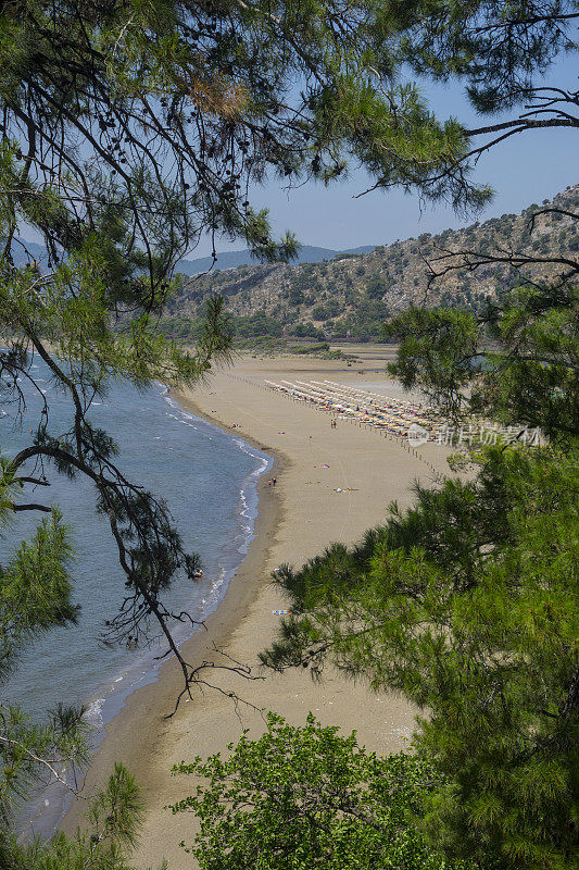 达利安， 土耳其